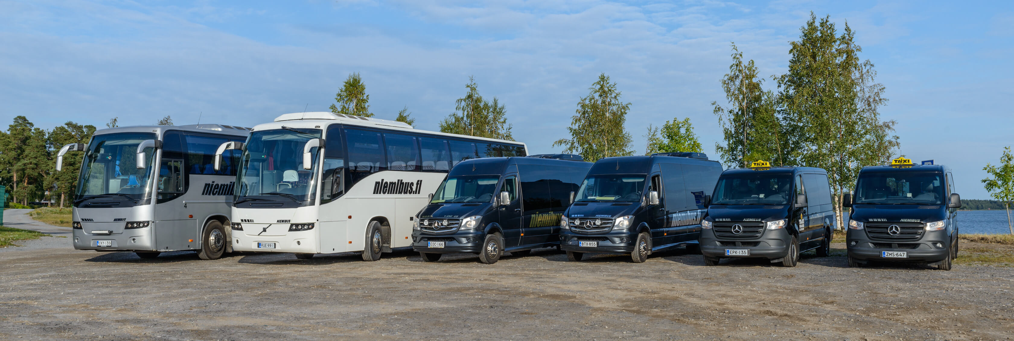 Niemibus
